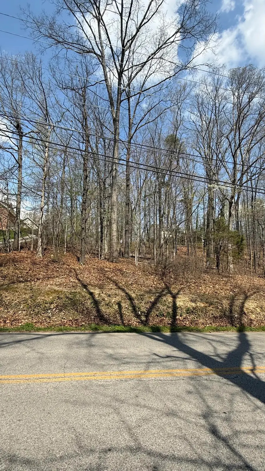 193 E Highwater Road, Soddy Daisy, TN 37379 - #3