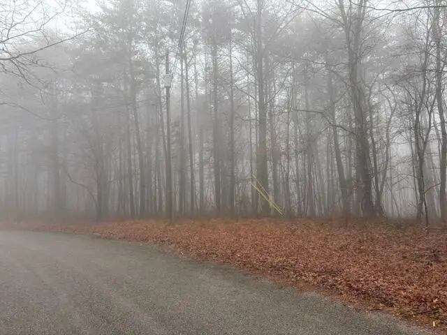 20 Wash Roberts Road #071, McMinnville, TN 37110 - #1