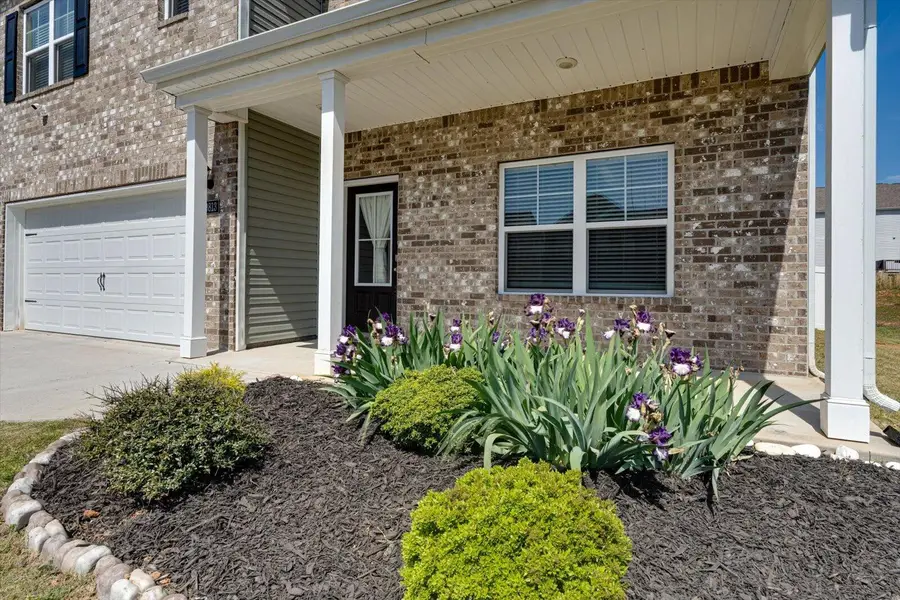 9813 Ramble Brook Lane, Apison, TN 37302 - #3