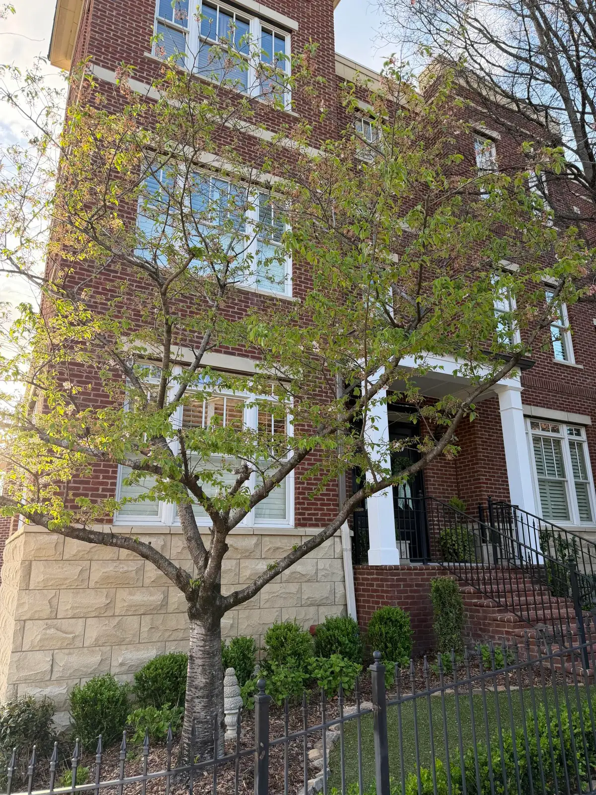 299 Cherry Street, Chattanooga, TN 37403 - #1