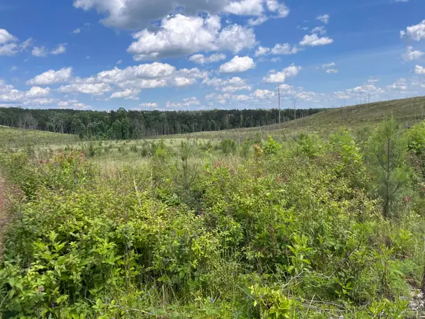 4 Hwy 399, Dunlap, TN 37327