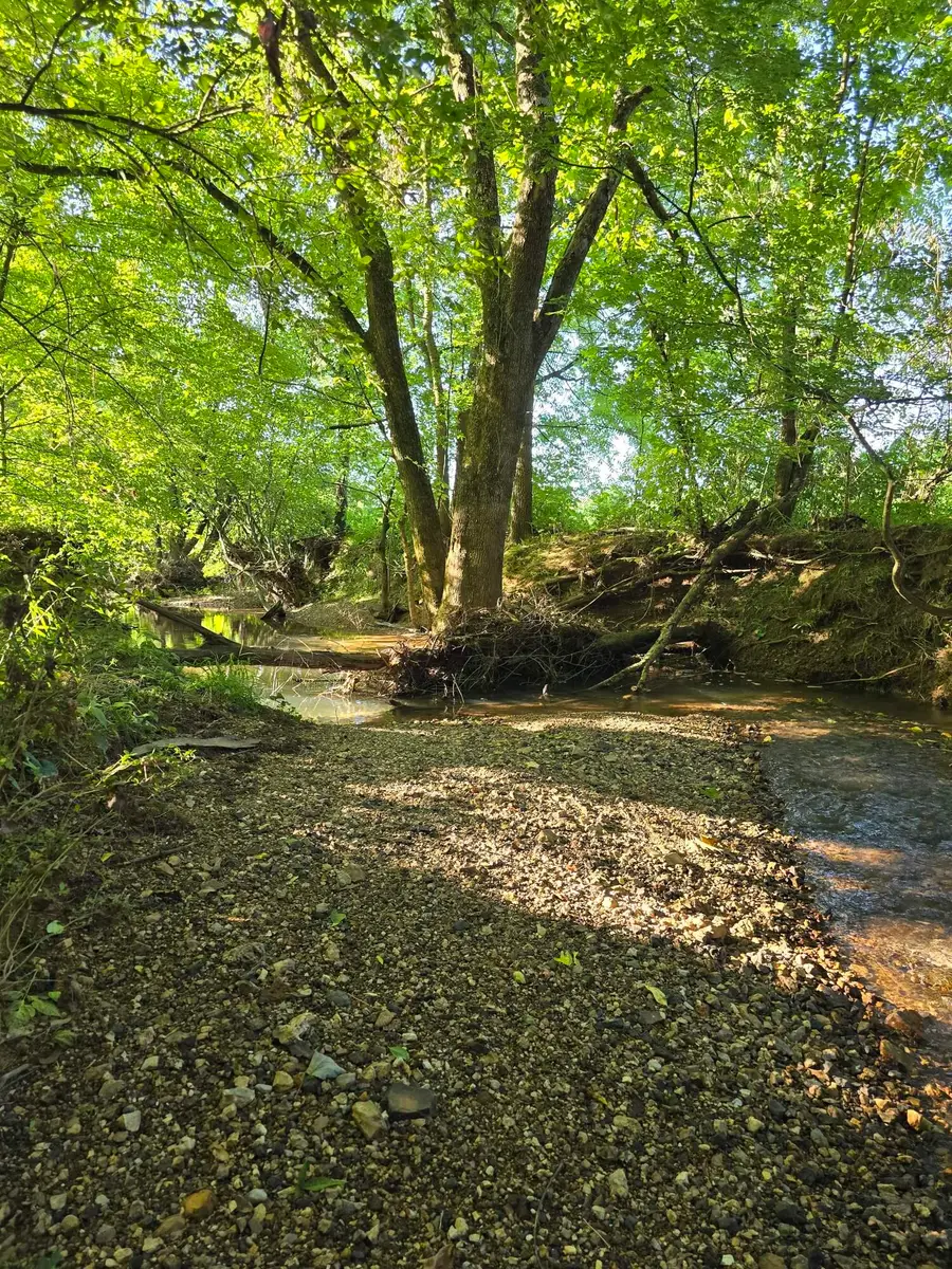 6391 Hwy 95, La Fayette, GA 30728 - #2