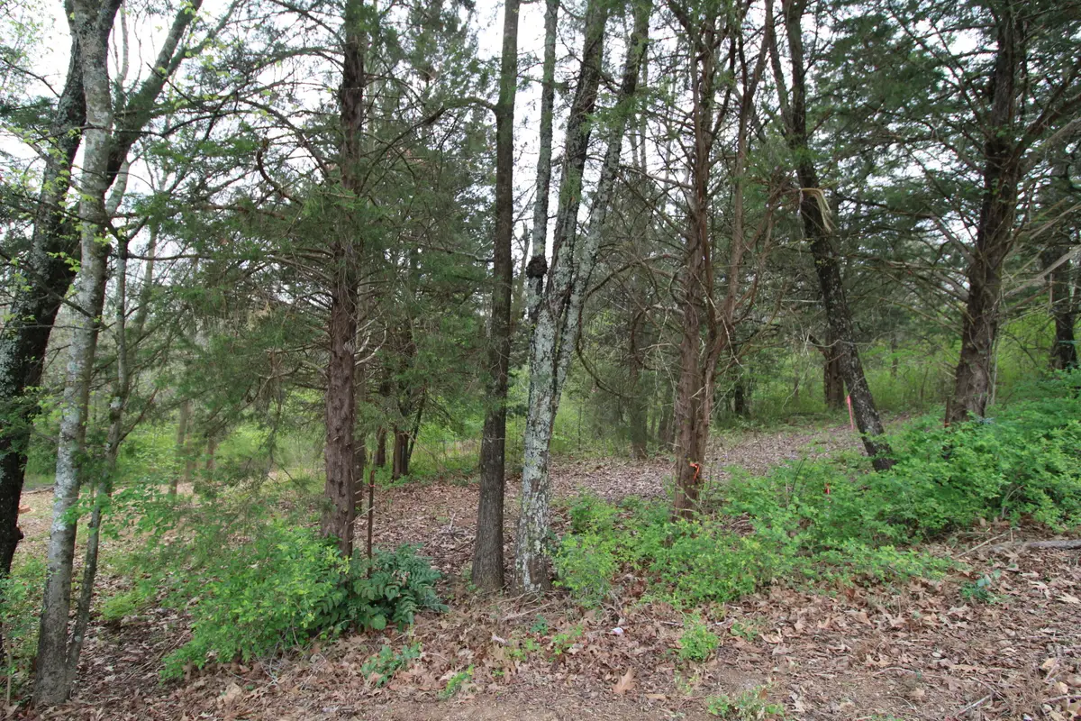 2550 Folkner Road, Hixson, TN 37343 - #1