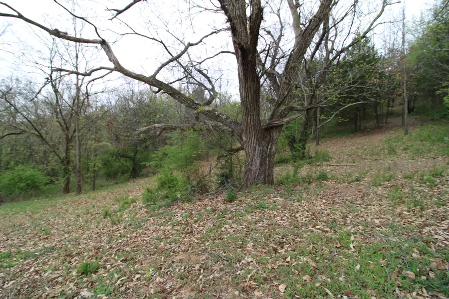 2566 Folkner Road, Hixson, TN 37343 - #2