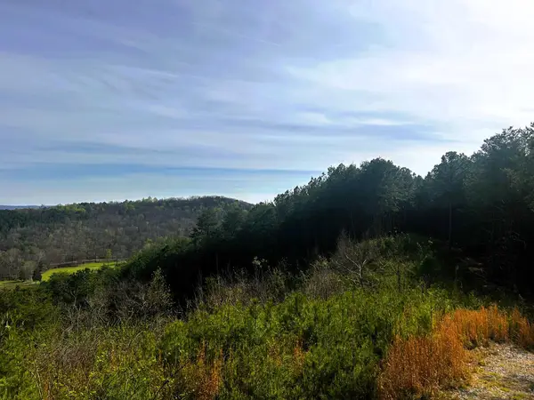 Tract 7 SW Owl Hollow Road, McDonald, TN 37353