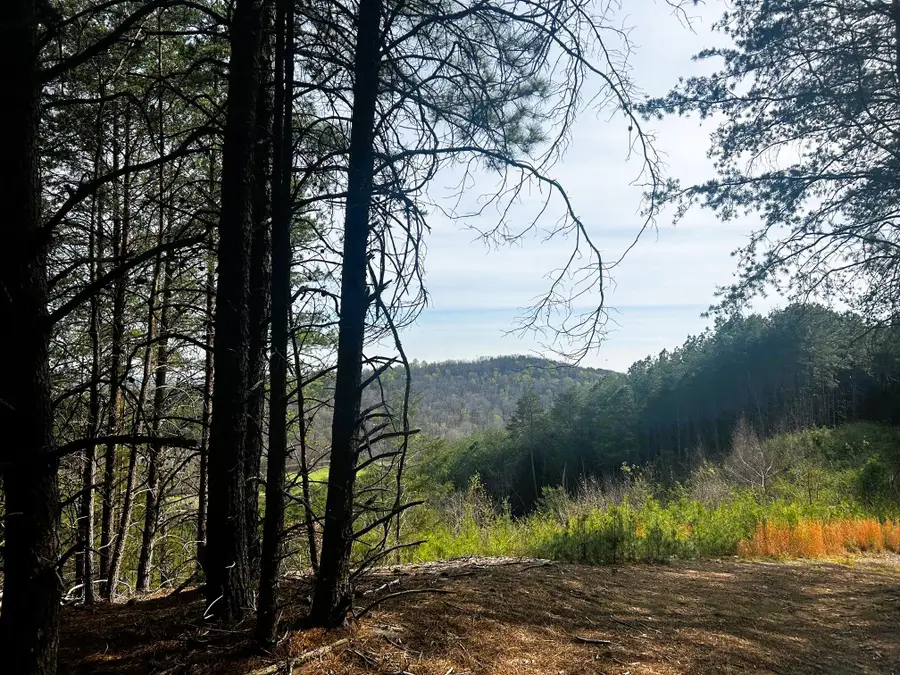 Tract 7 SW Owl Hollow Road, McDonald, TN 37353 - #2