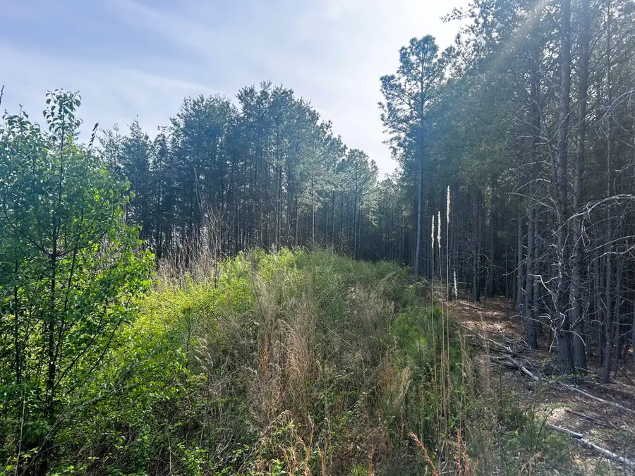 Tract 7 SW Owl Hollow Road, McDonald, TN 37353 - #3