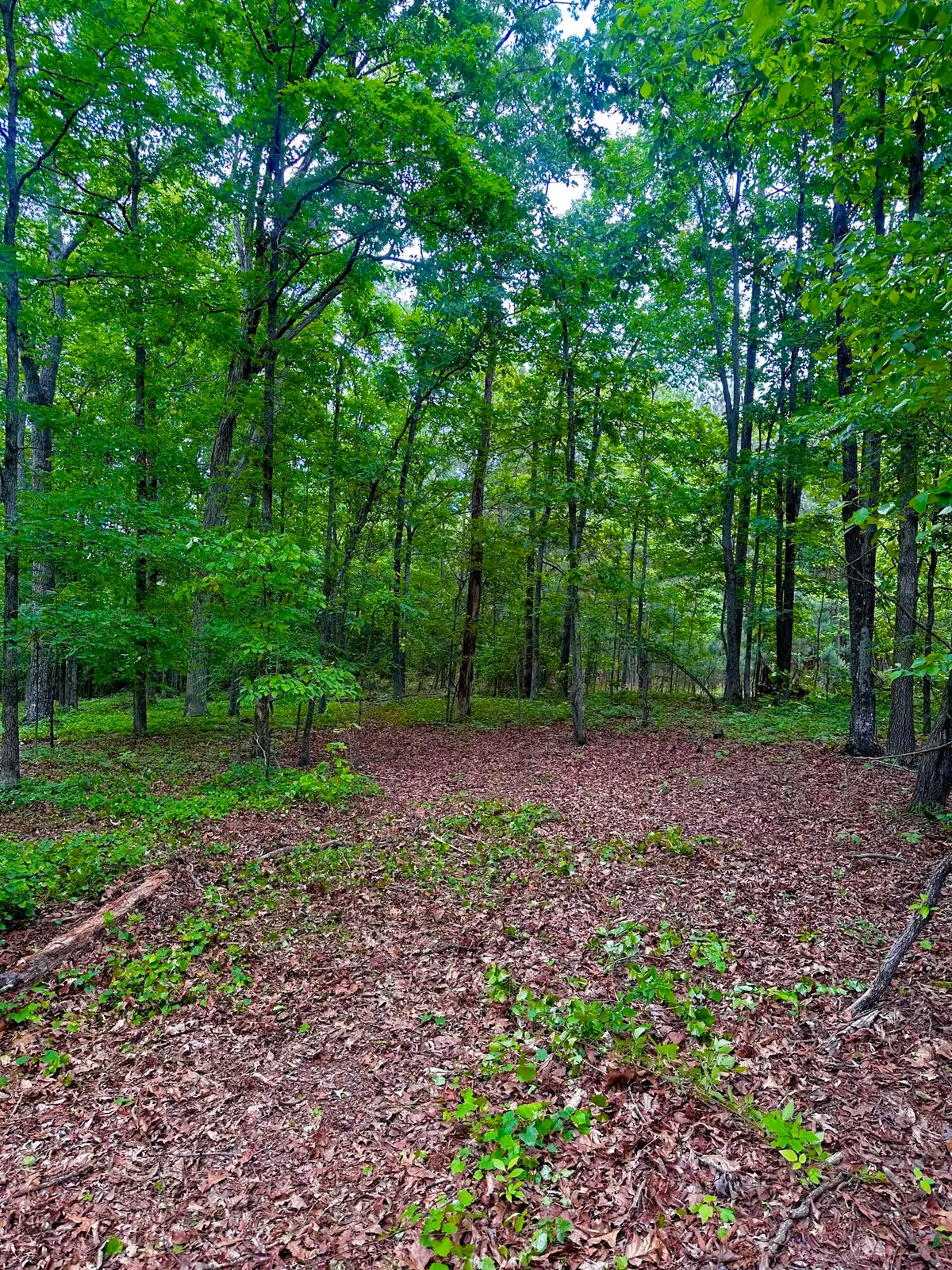 0 Ga Hwy 2, Dalton, GA 30721 - #1