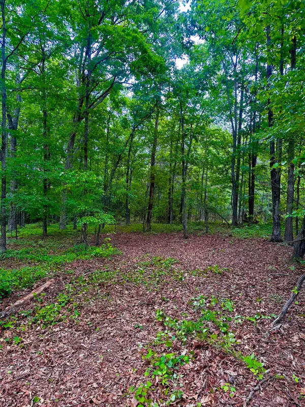 0 Highway 2, Dalton, GA 30721