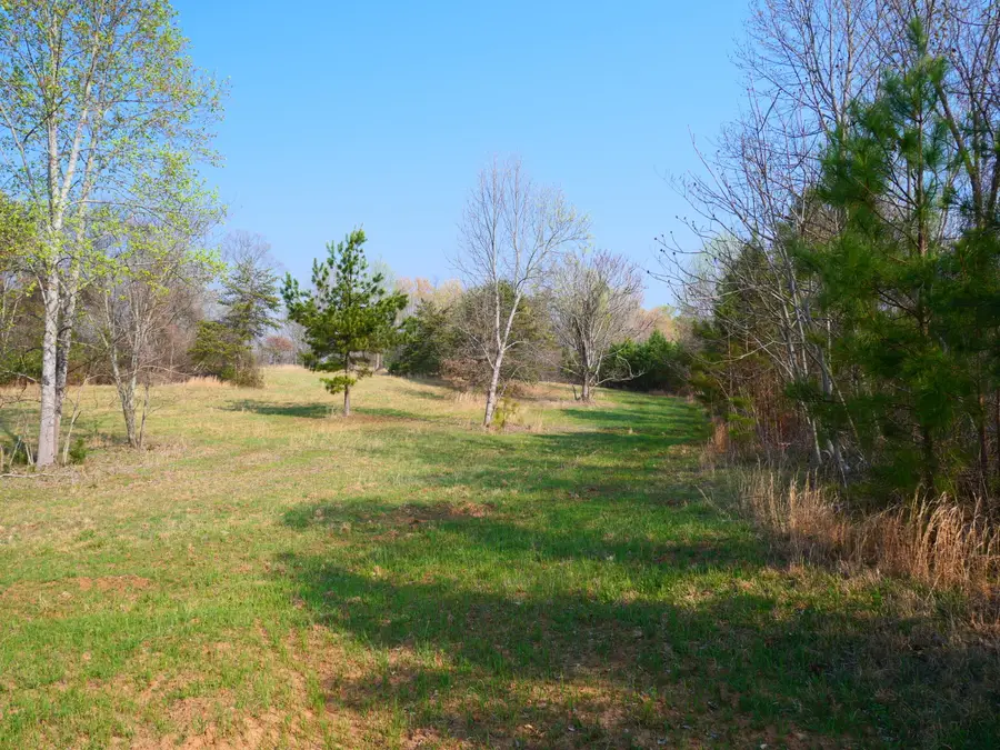 0 Daugherty Ferry Road, Sale Creek, TN 37373 - #3