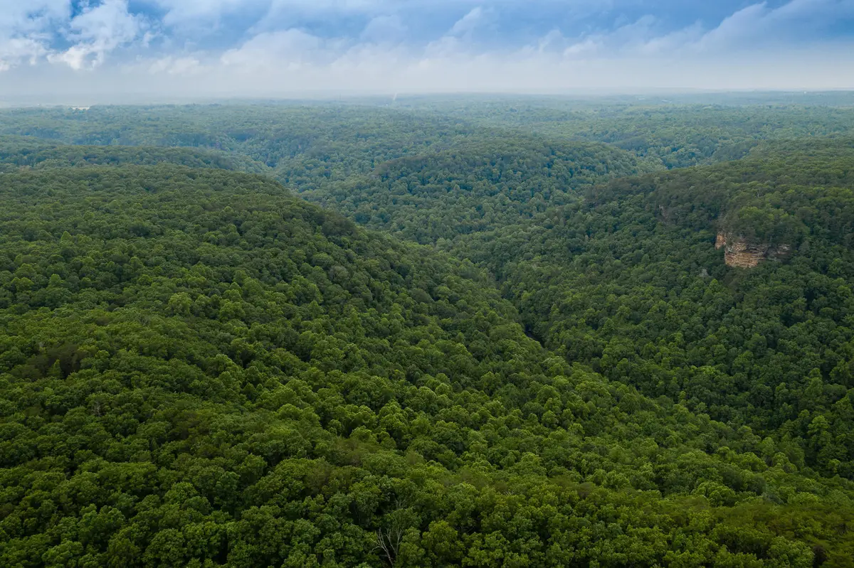 916 N Rim Drive #Nb1, Coalmont, TN 37313 - #1