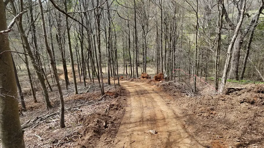 000 Geren Subdivision Lane, Decatur, TN 37322 - #3