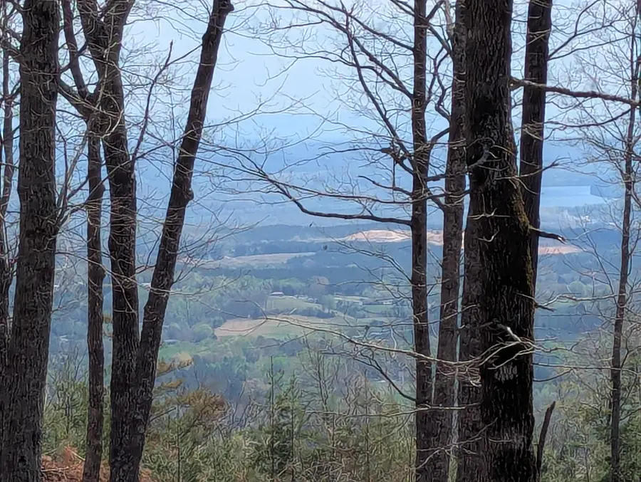 Lot 17 Duckwood Lane, Evensville, TN 37332 - #2