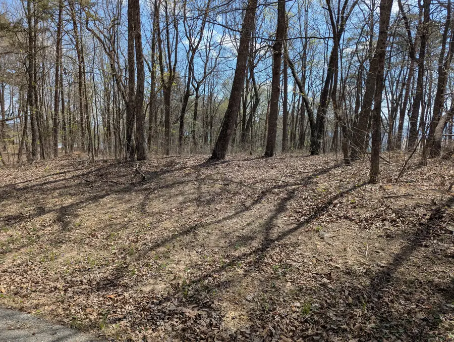 Lot 17 Duckwood Lane, Evensville, TN 37332 - #3