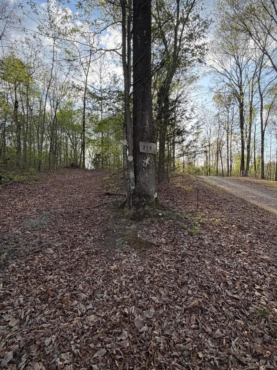 0 Henry Road, Whitwell, TN 37397 - #3