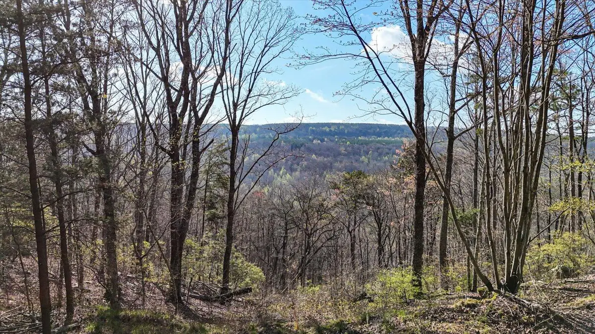 Lot 1350 Split Rail Way, Guild, TN 37340 - #1