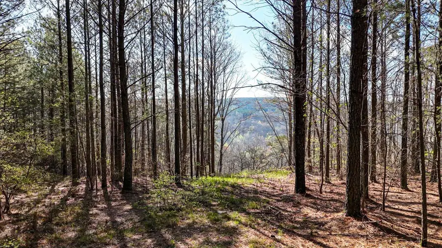 Lot 1350 Split Rail Way, Guild, TN 37340 - #2