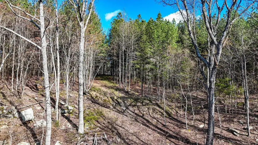 Lot 1350 Split Rail Way, Guild, TN 37340 - #3