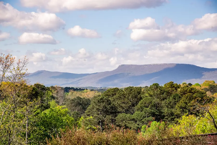 923 Crest Drive, Chickamauga, GA 30707 - #3