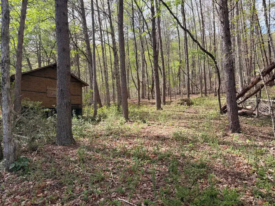 7155 Back Valley Road, Evensville, TN 37332 - #3