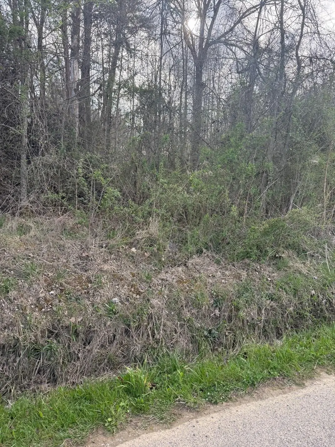 97.32 Griffith Road, Pikeville, TN 37367 - #1