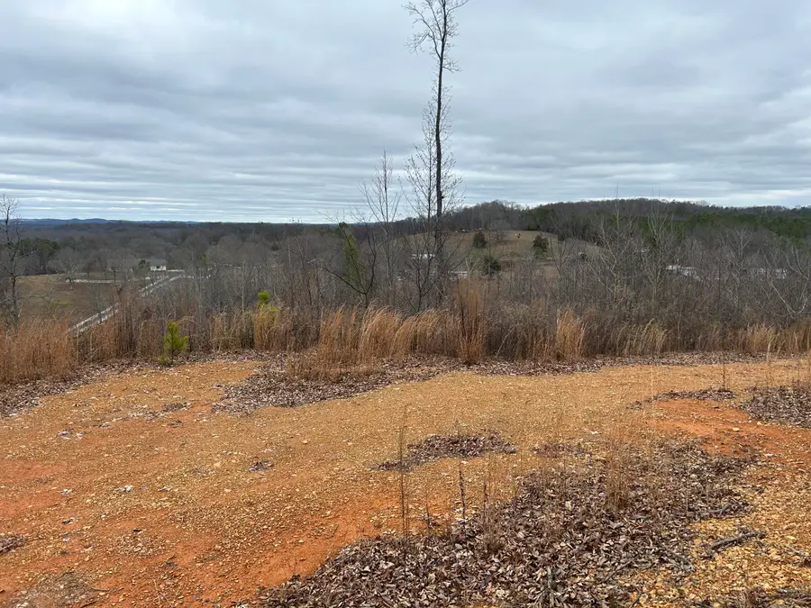 1302 E Emerson Road, Cohutta, GA 30710 - #3