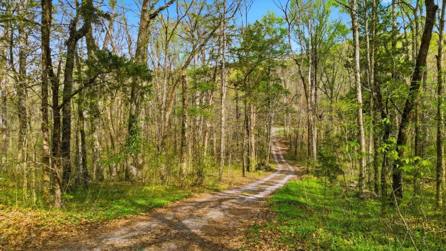 1544 Lamontville Road, Decatur, TN 37322 - #3