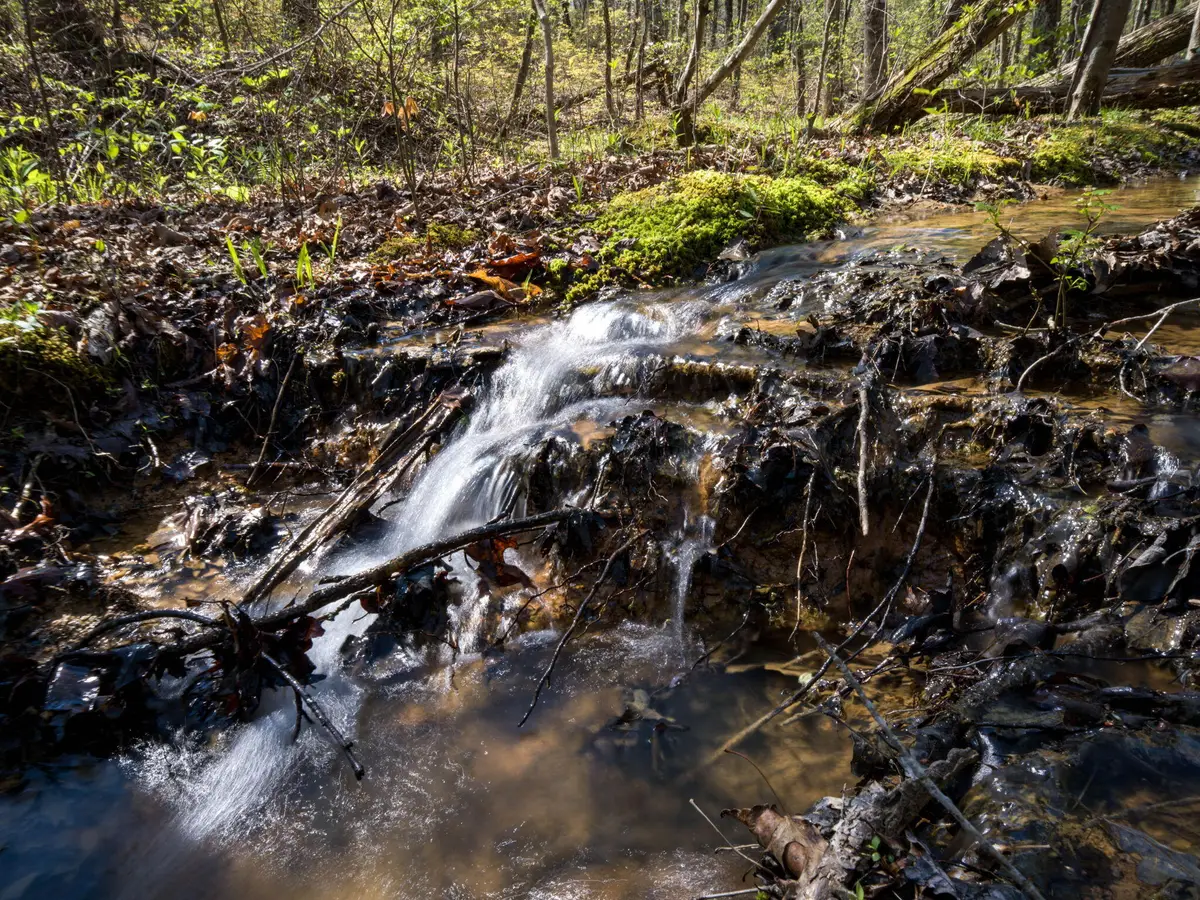 3916 Cummings Road, Chattanooga, TN 37419 - #1