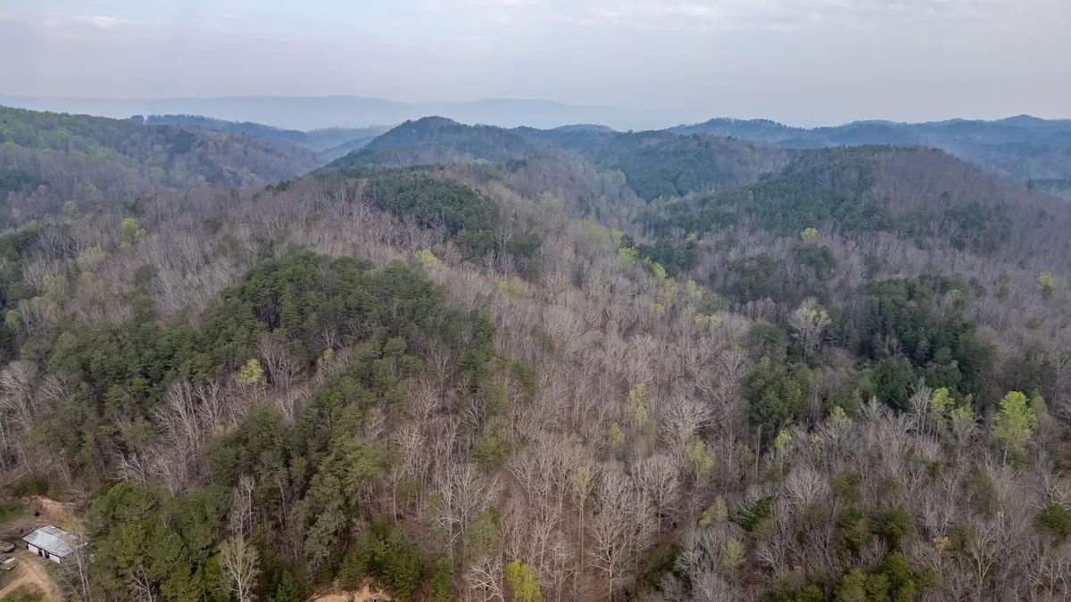 00 Castleberry Road, Lafayette, GA 30728 - #1