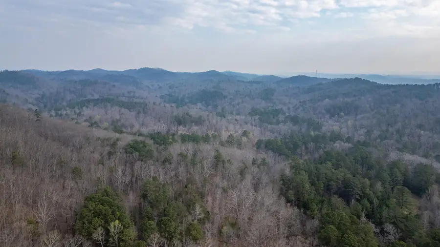 00 Castleberry Road, Lafayette, GA 30728 - #3