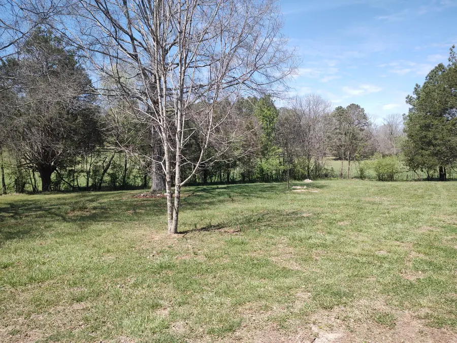 348 Straight Gut Road, Rock Spring, GA 30739 - #2