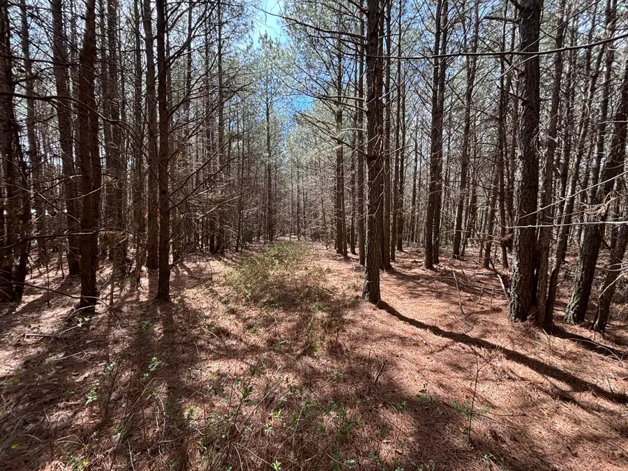 5 Fredonia Road, Dunlap, TN 37327 - #2