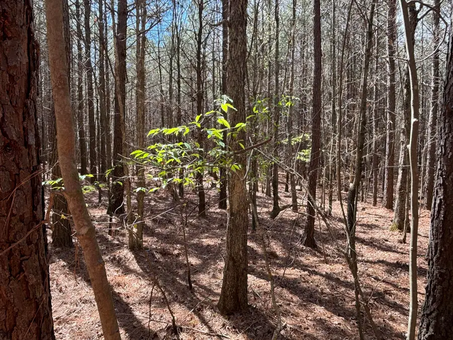 5 Fredonia Road, Dunlap, TN 37327 - #3