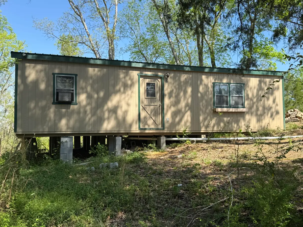 250 Cunningham Drive, Decatur, TN 37322 - #1