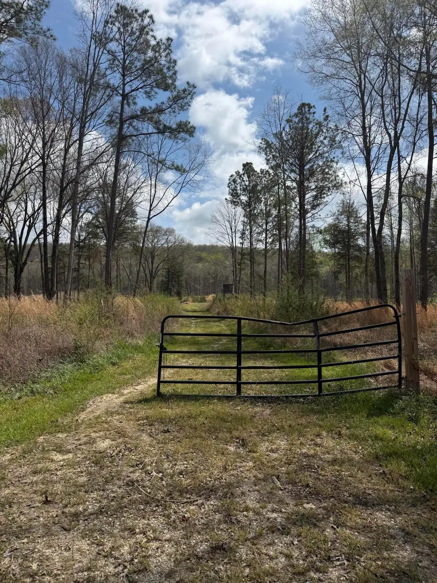 5 Acres Calico Road, Decatur, TN 37322 - #2