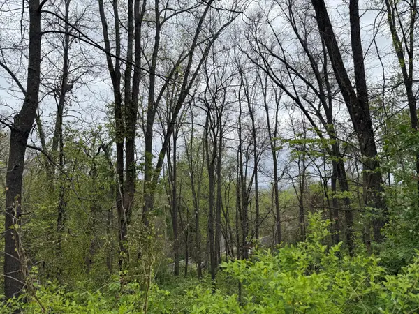 3612 Mountain View Drive, Chattanooga, TN 37405