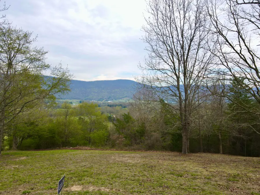 Lot 20 Skyhigh Drive, Dunlap, TN 37327 - #3