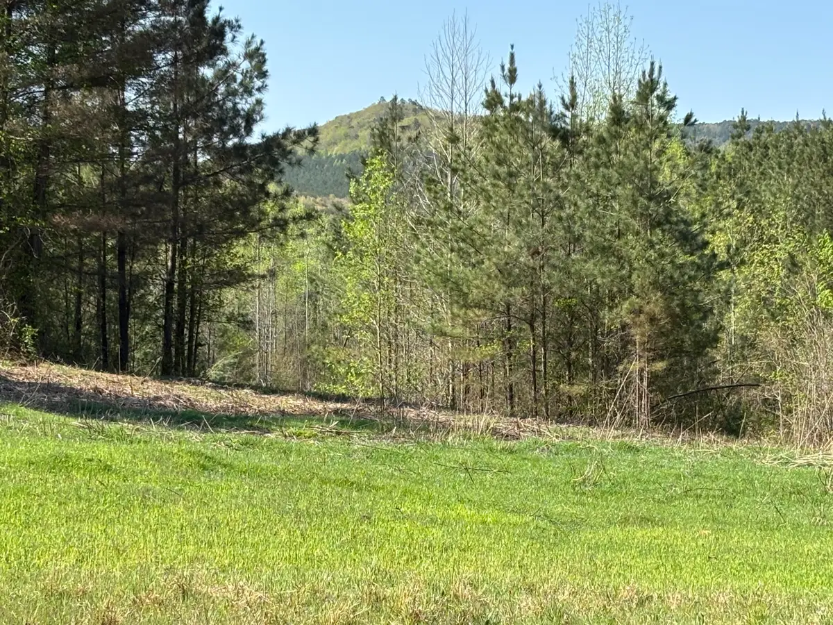 108 Leggett Road, Sale Creek, TN 37373 - #1