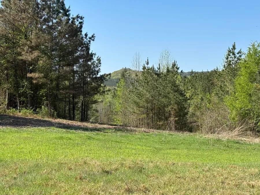 108 Leggett Road, Sale Creek, TN 37373 - #2