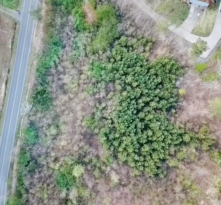 4197 Cohutta Varnell Road, Cohutta, GA 30710 - #3