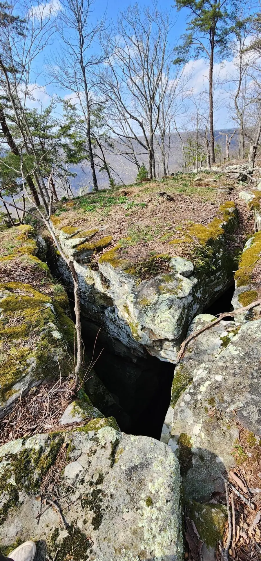 0 Roth Point Road #5, Altamont, TN 37301 - #2