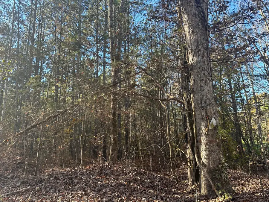 0 Redman Lane, Decatur, TN 37322 - #3