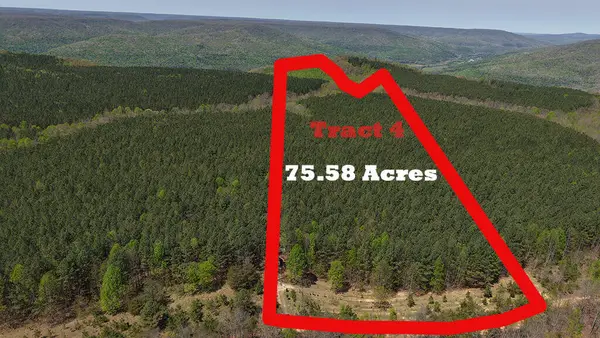 0 Sherwood Rd Off #Tract 4, South Pittsburg, TN 37380