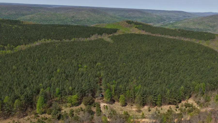 0 Sherwood Rd Off #Tract 4, South Pittsburg, TN 37380 - #3