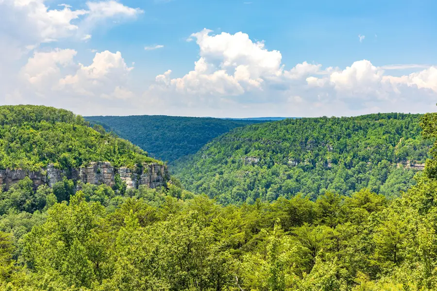 1034 Montlake Road, Soddy Daisy, TN 37379 - #3