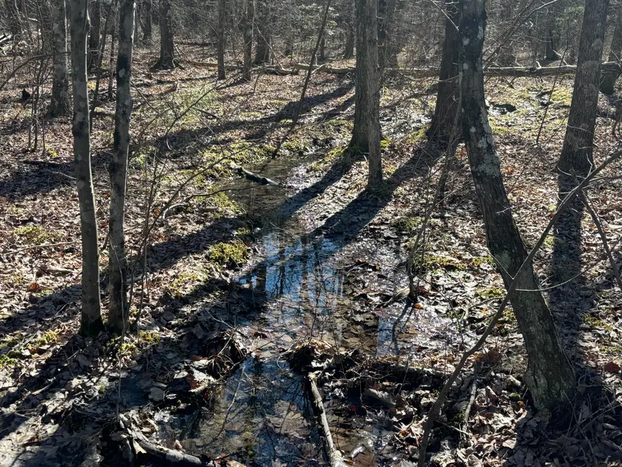 9 Hwy 399 Road, Dunlap, TN 37327 - #2