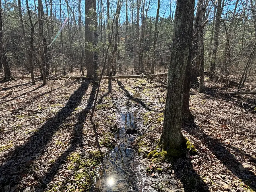 9 Hwy 399 Road, Dunlap, TN 37327 - #3