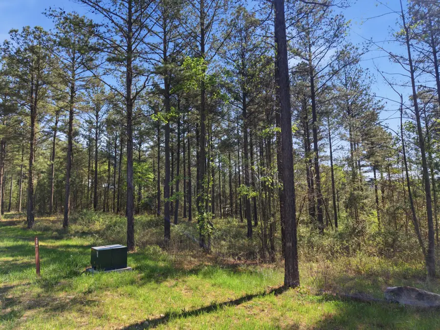 0 Split Rail Way #1374, Guild, TN 37340 - #2