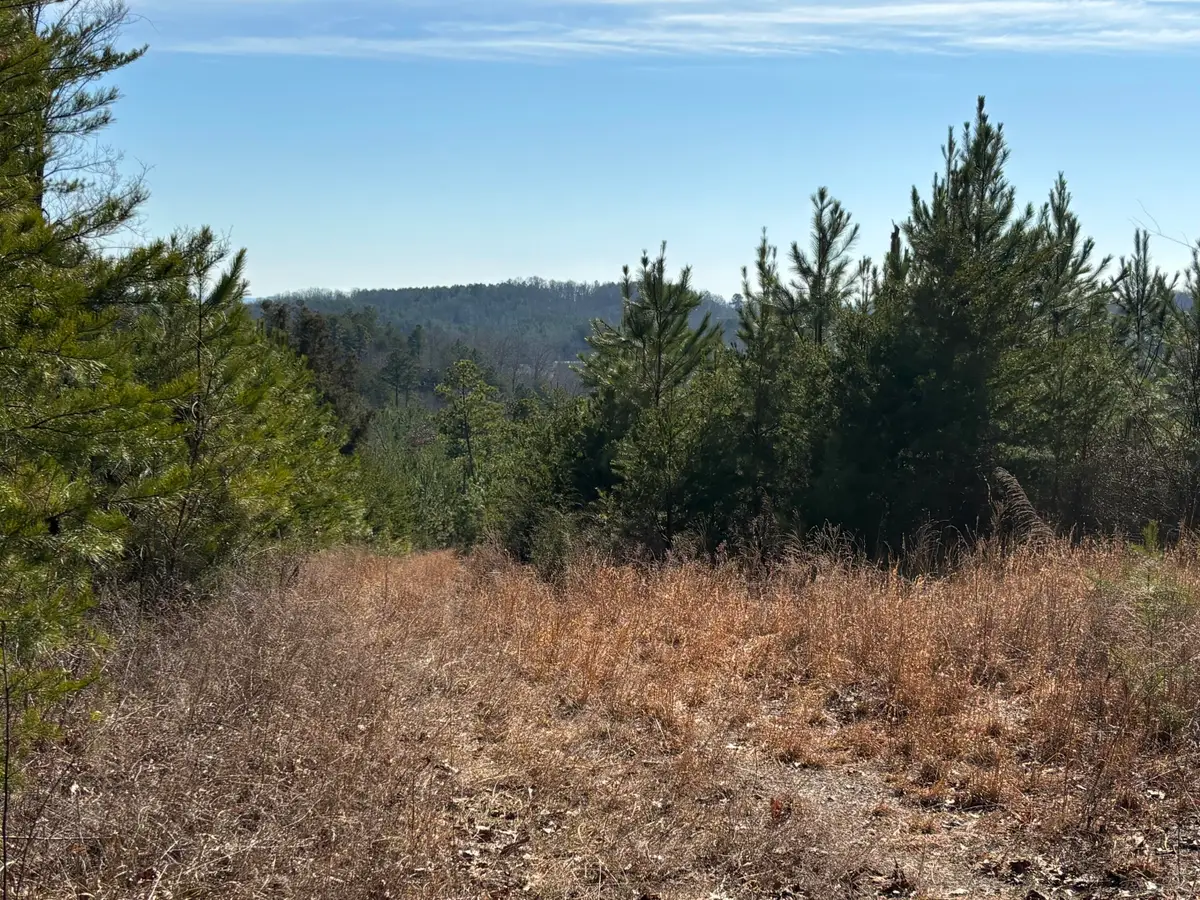 0 Vaughn Mill Road, Evensville, TN 37332 - #1