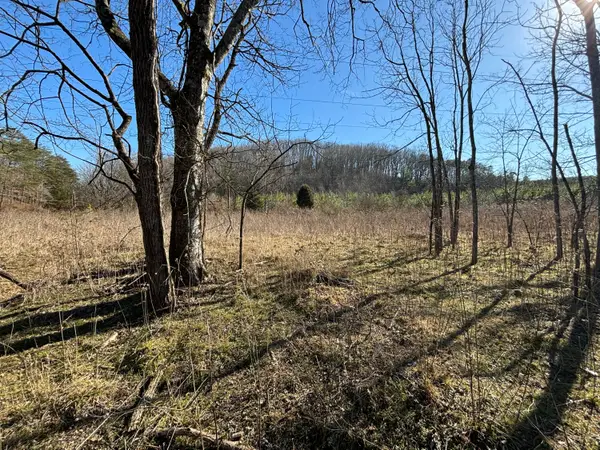 0 Dividing Ridge Road, Spring City, TN 37381